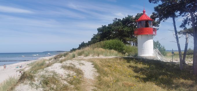 Leuchtturm Gellen auf Hiddensee