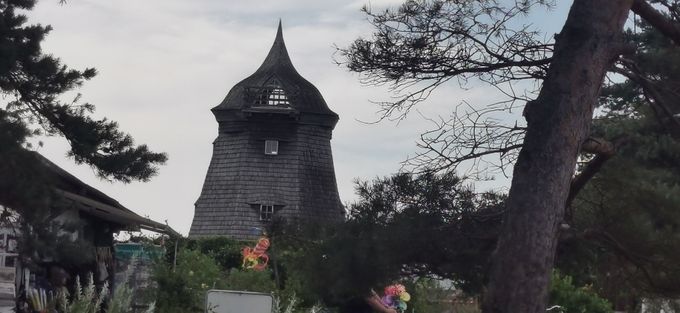 Alte Windmühle in Vitte