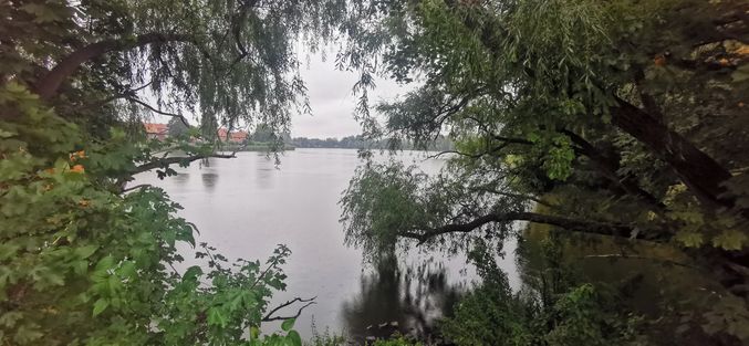 "Teich" in Stralsund